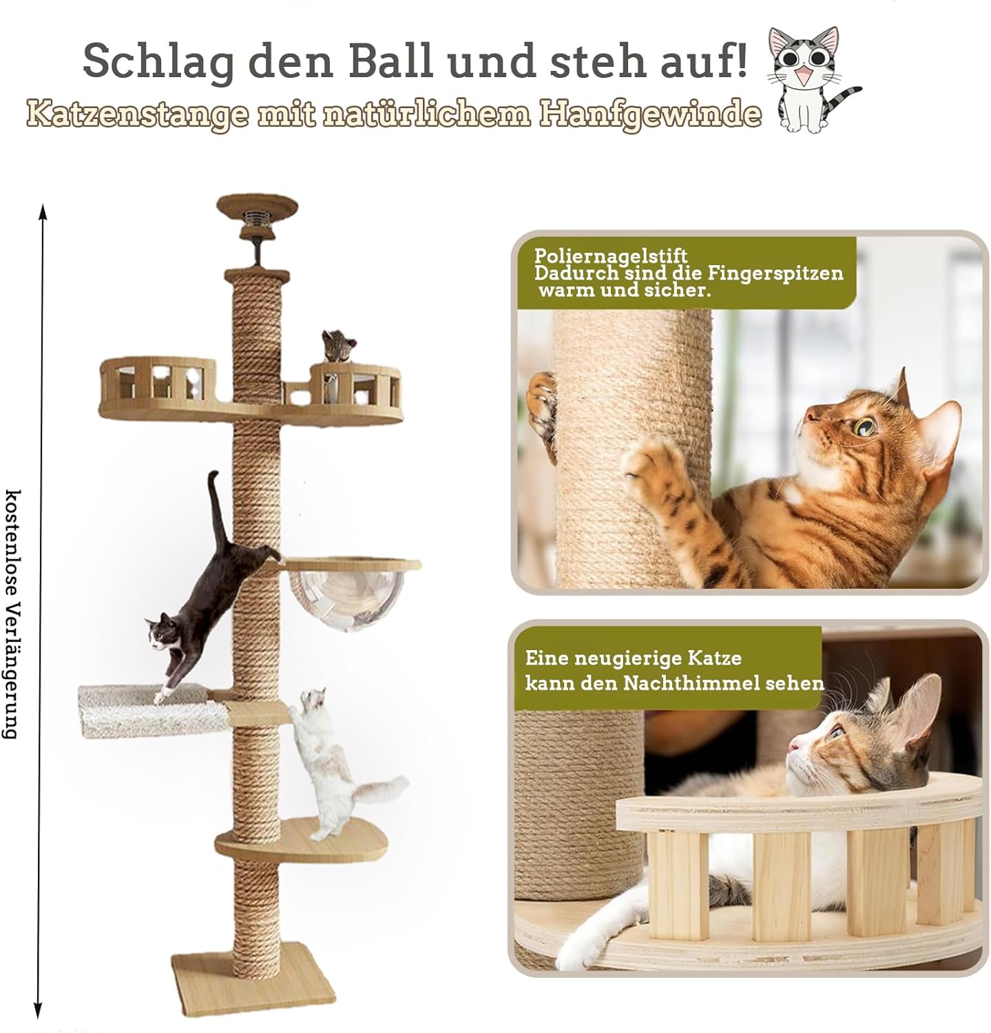Capsule spatiale transparente pour arbre à chat Mekidulu