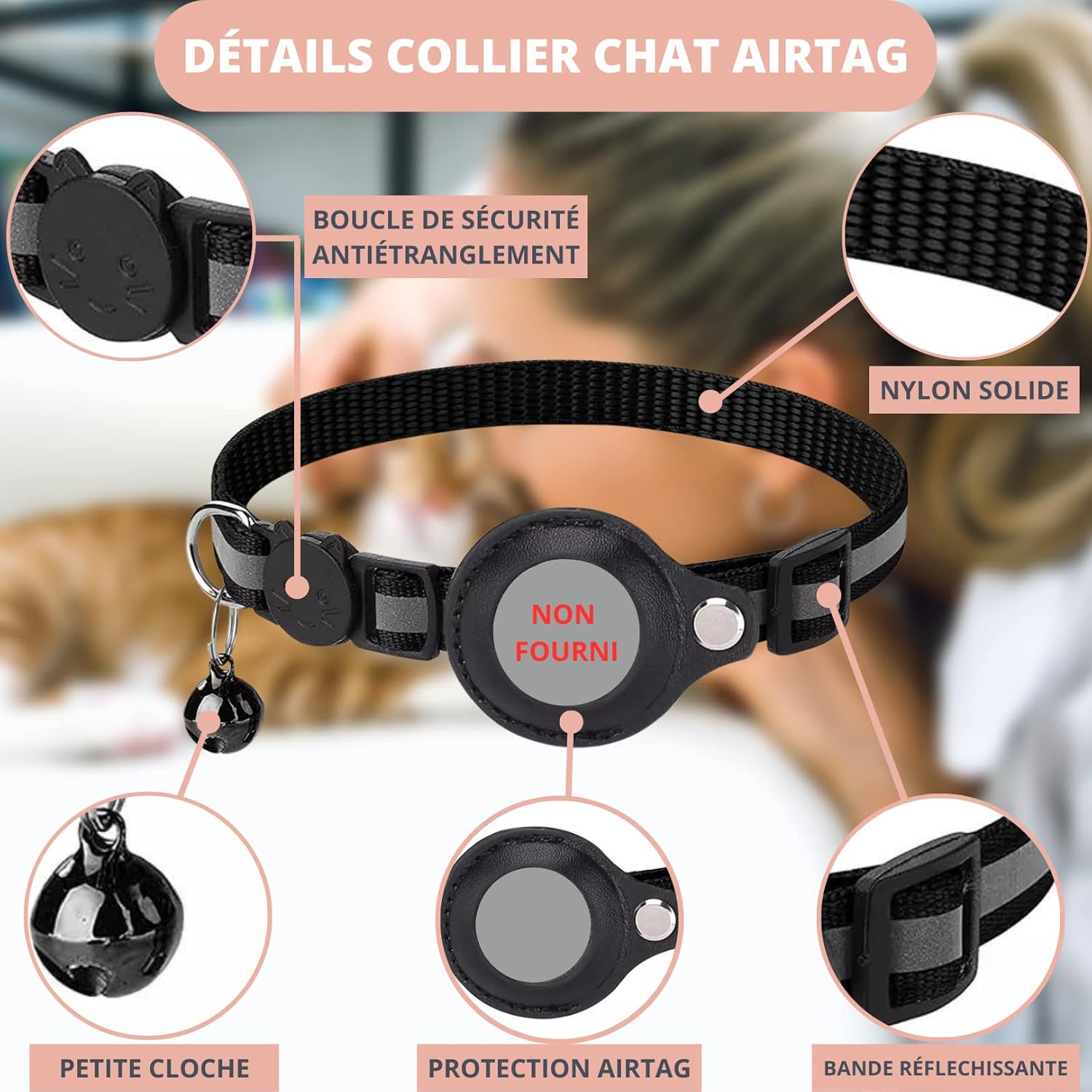 félin portant collier Croc-Cat extérieur