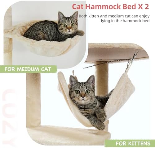 arbre à chat stable pour grands chats et foyers multi-chats