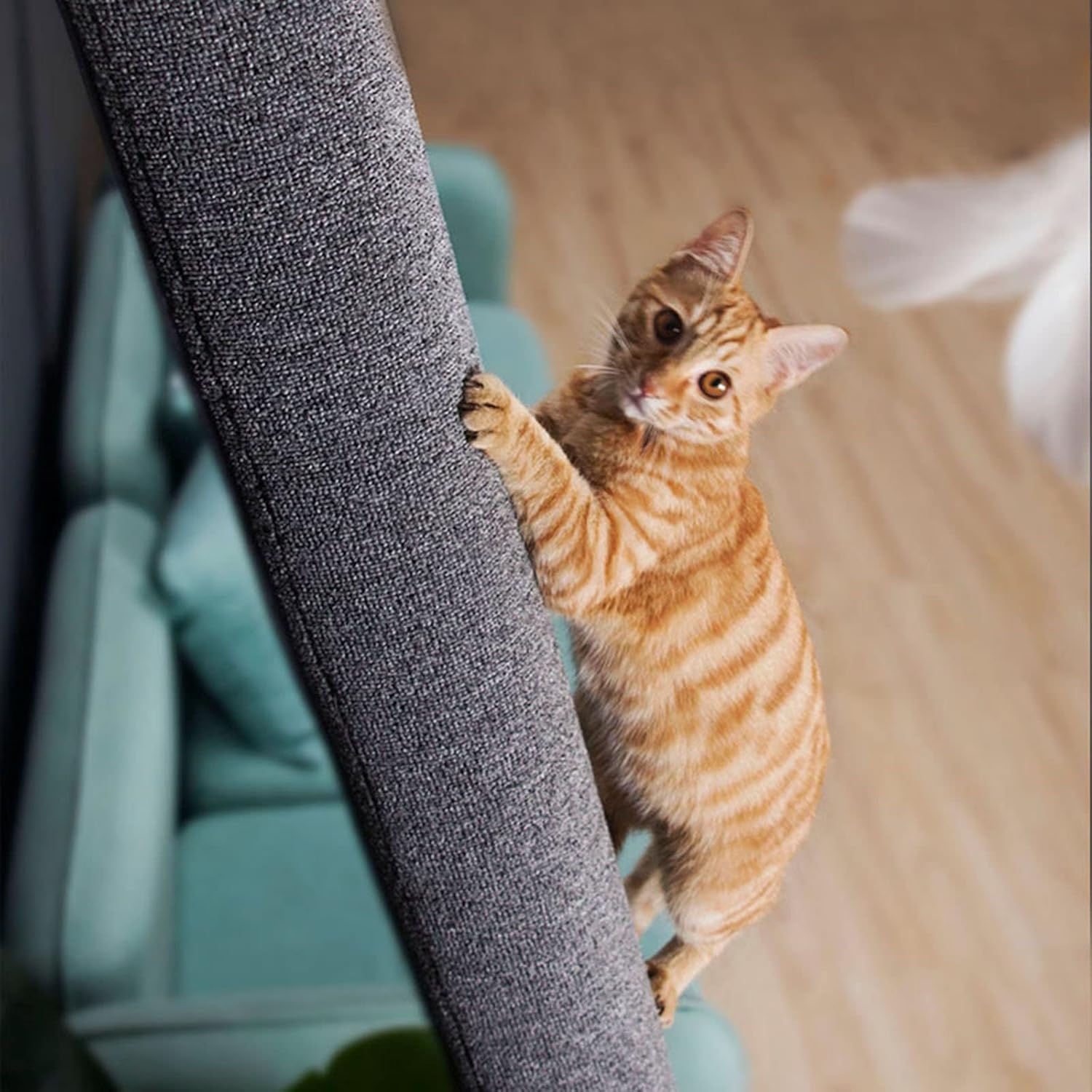 base solide d’arbre à chat stable pour escalade féline