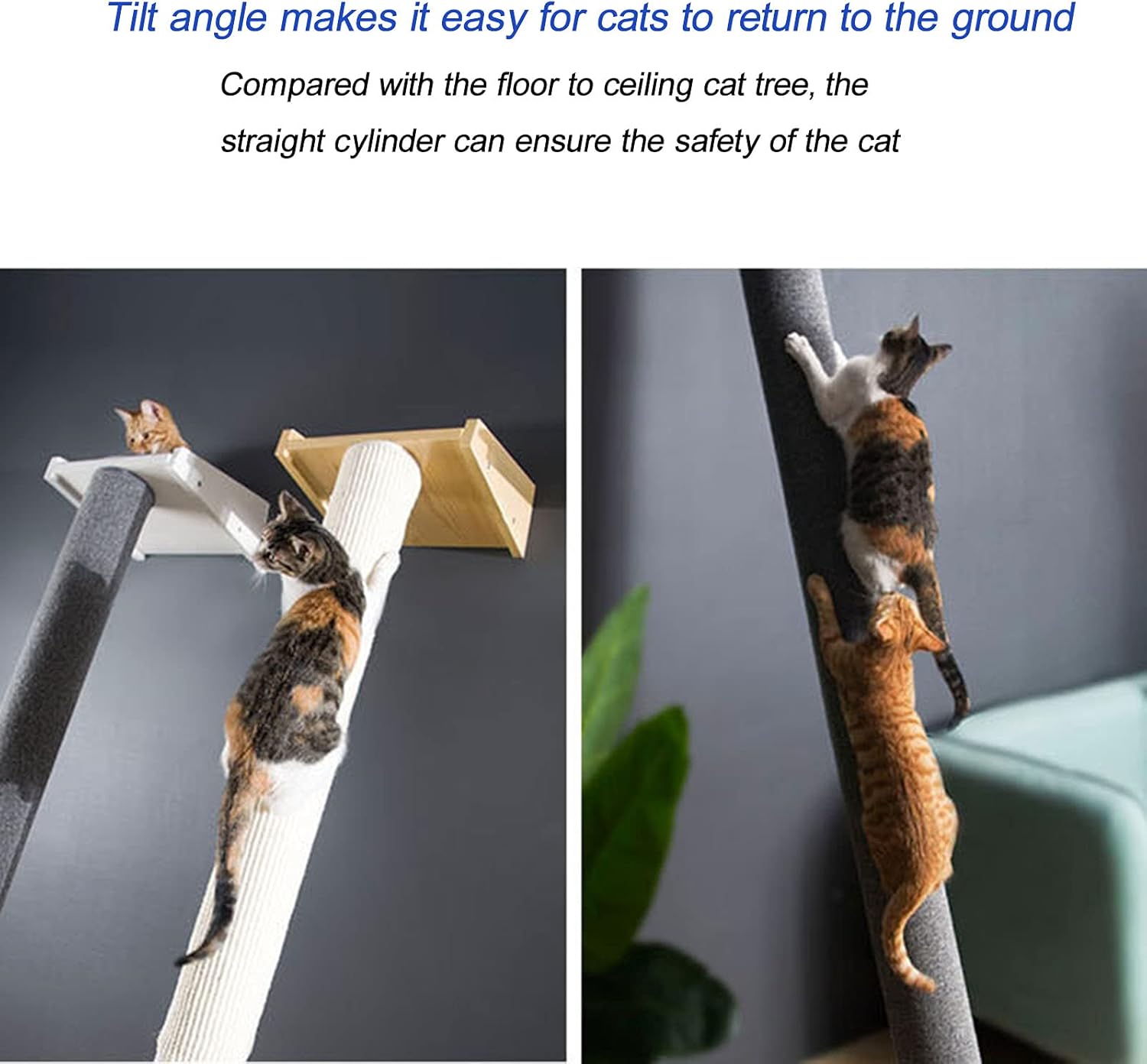 plateforme douillette pour chat dans arbre 150 cm