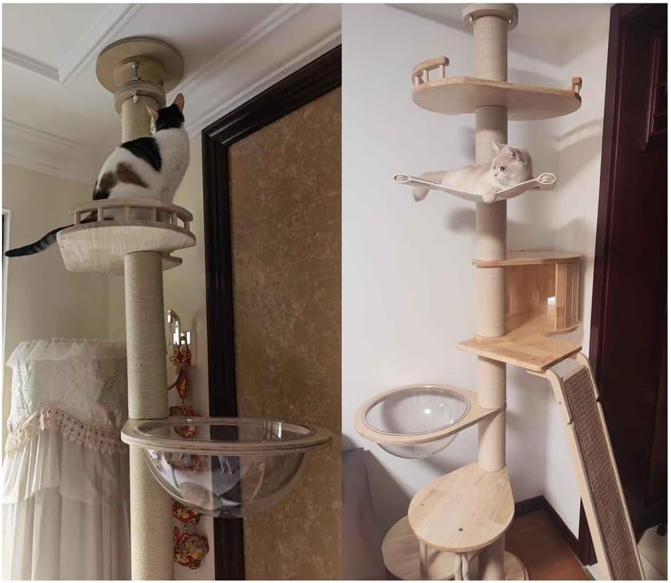 arbre à chat haut plafond PJDDP avec capsule spatiale