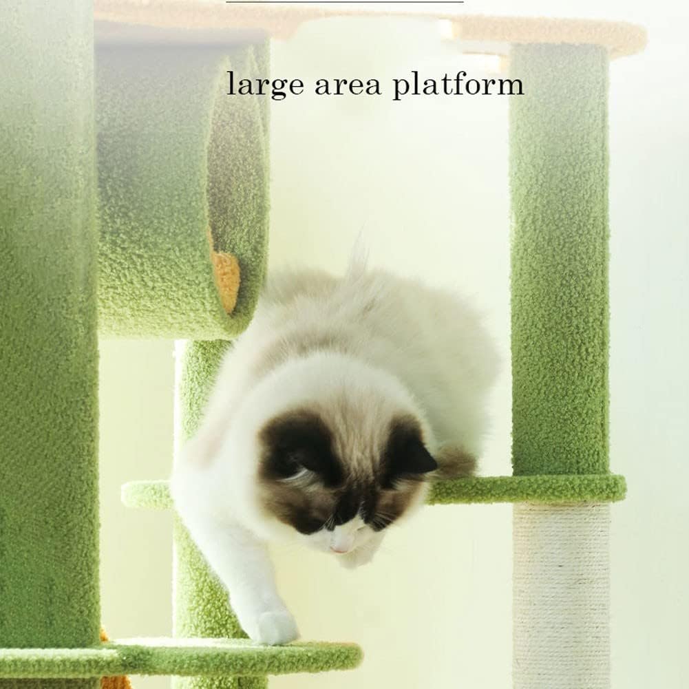 chat relaxant dans le hamac Green Haven