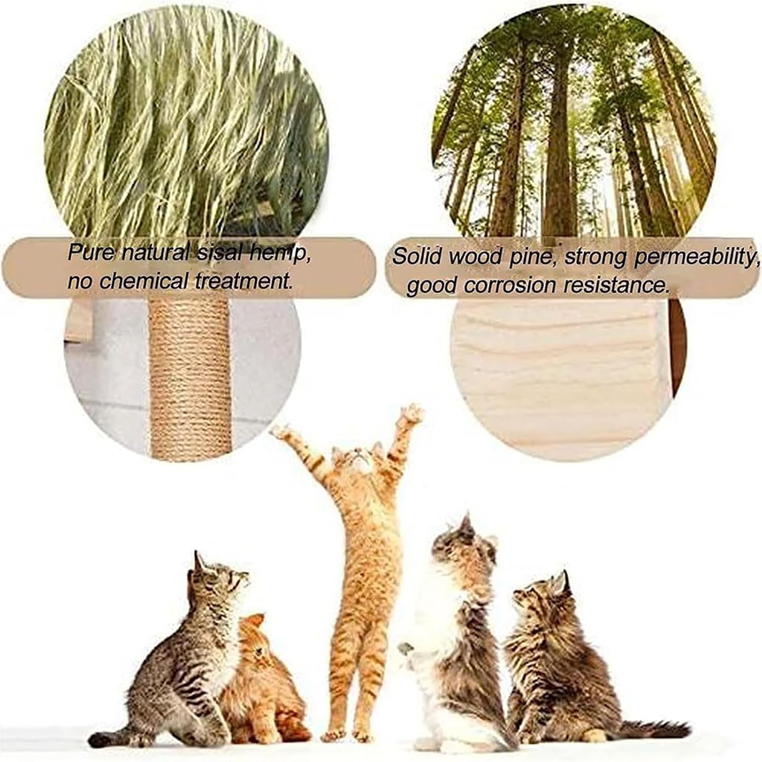 arbre à chat mural gain de place