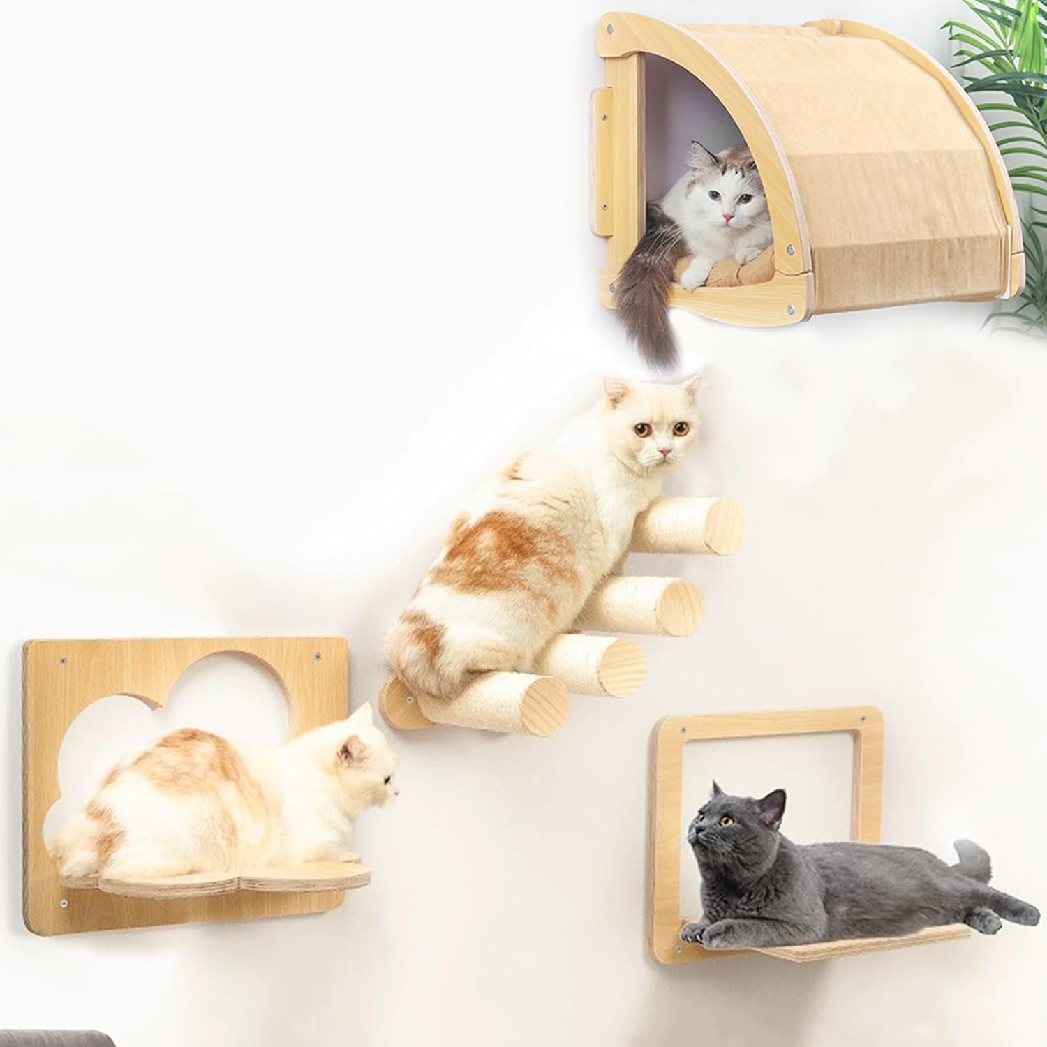 Installation facile arbre à chat mural bois clair