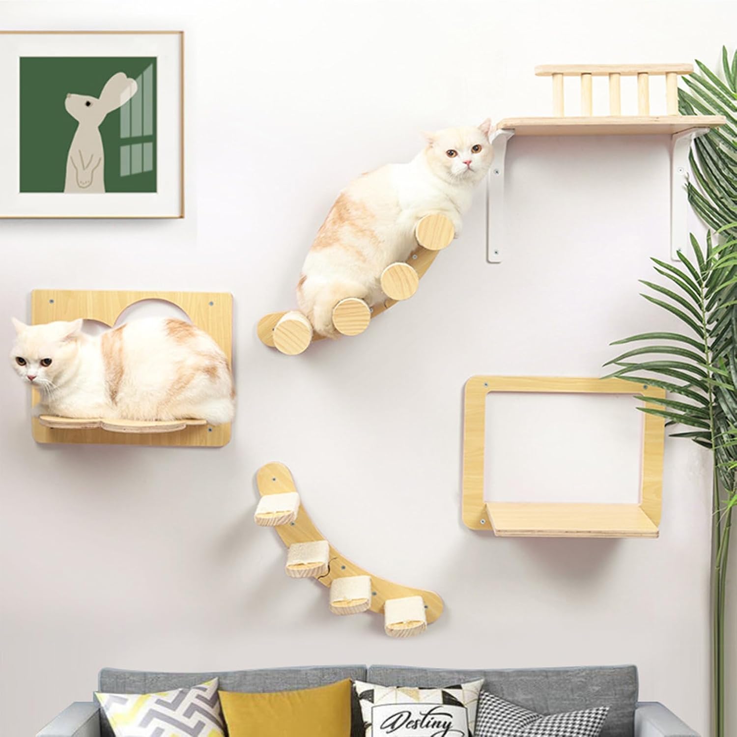 parcours mural pour chat avec pont suspendu en bois