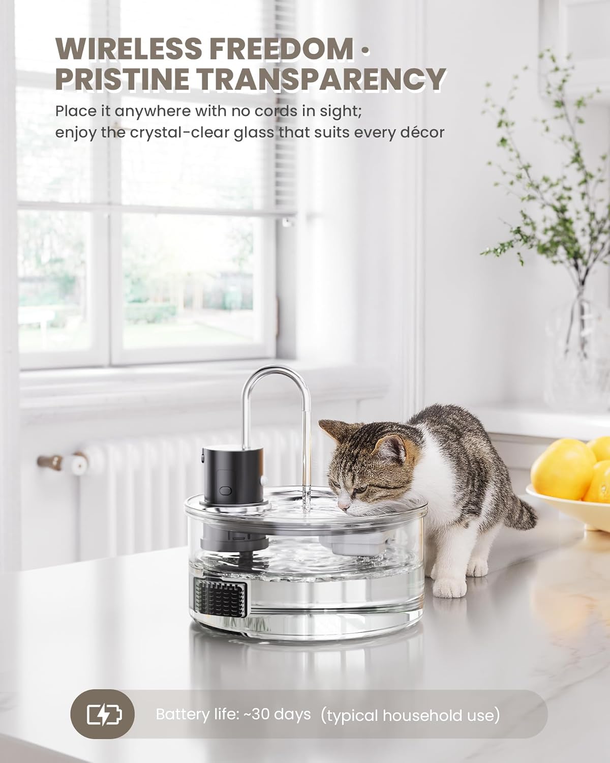 réservoir en verre hygiénique grande capacité 3,2L