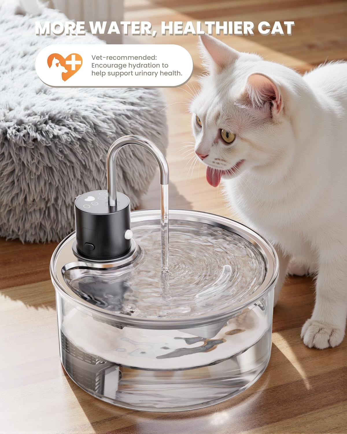 fontaine chat transparente design en verre