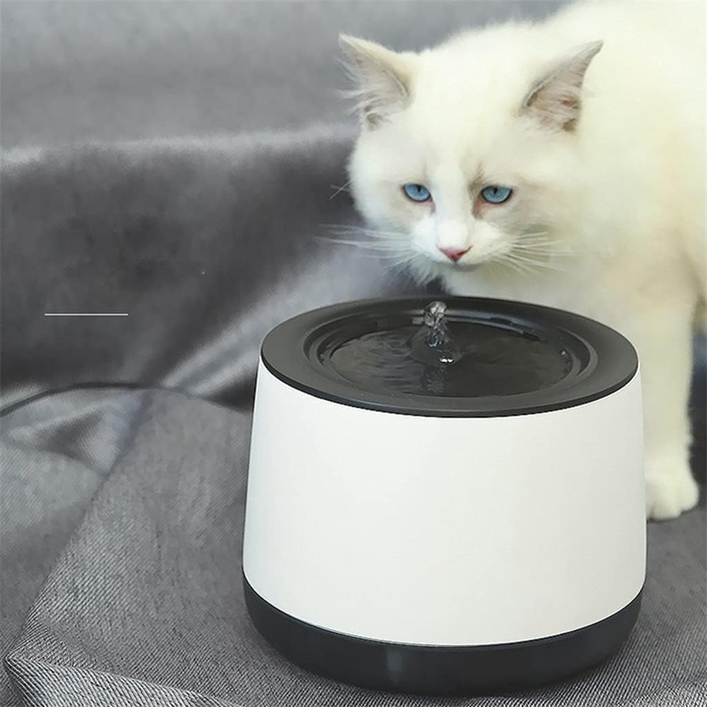 Pompe silencieuse basse consommation pour chat