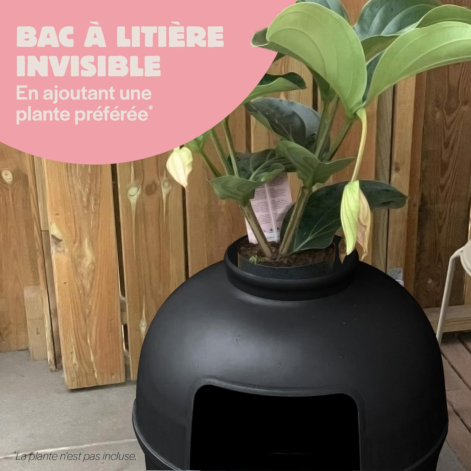 Bac à litière moderne RHRQuality noir pour chats Maine Coon