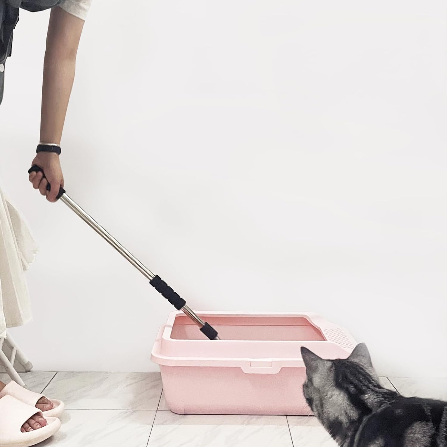 pelle en aluminium antirouille pour chat