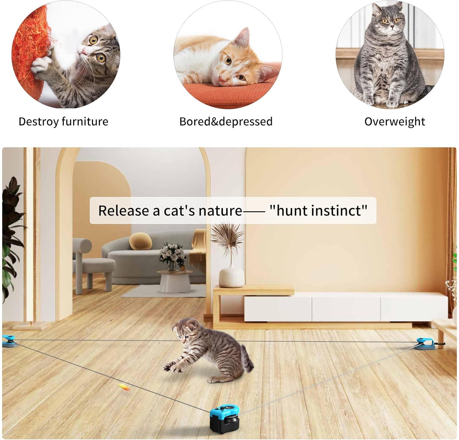 Chat d’intérieur actif sur piste personnalisable Felicity avec plumes colorées