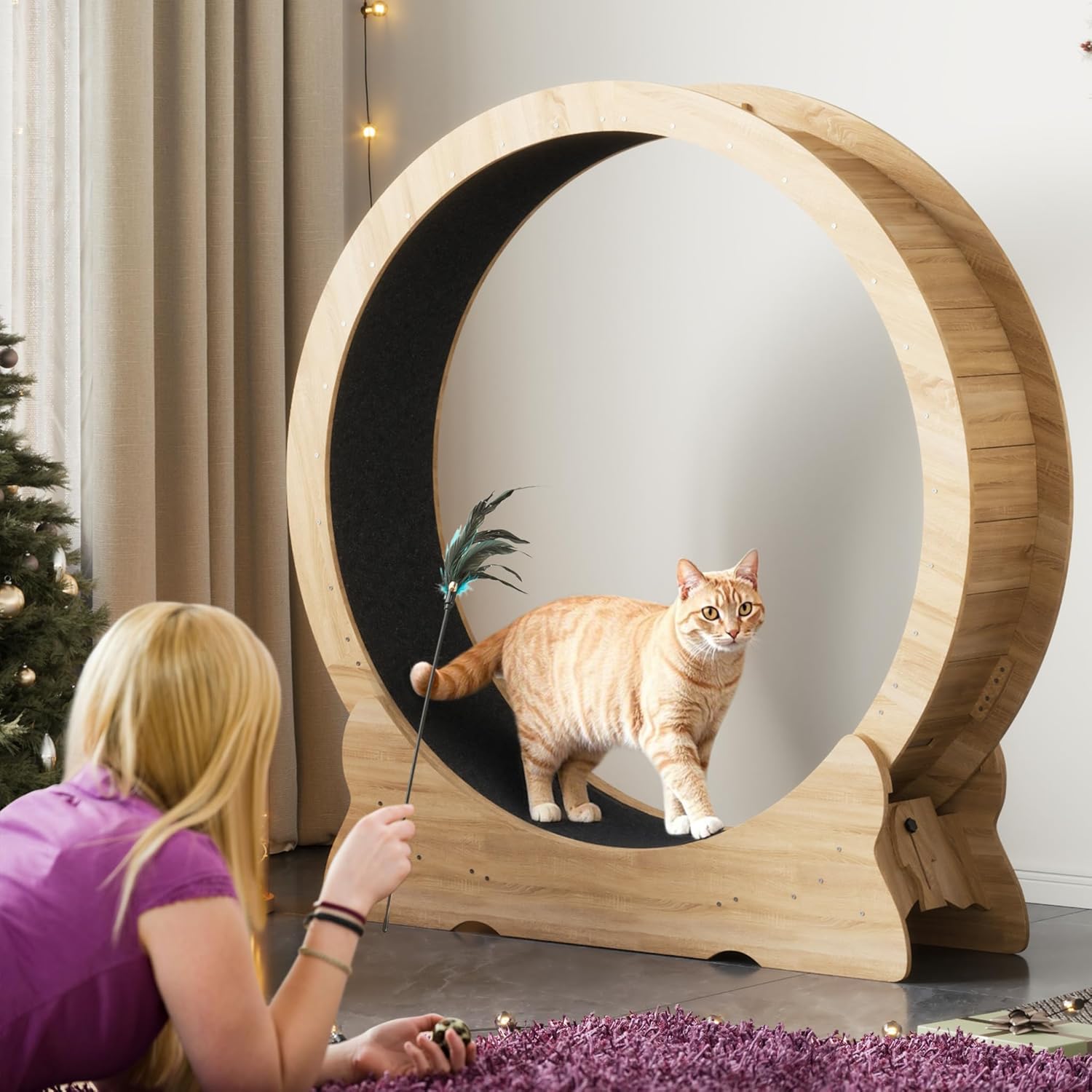 chat sur roue tapis roulant intérieur stable