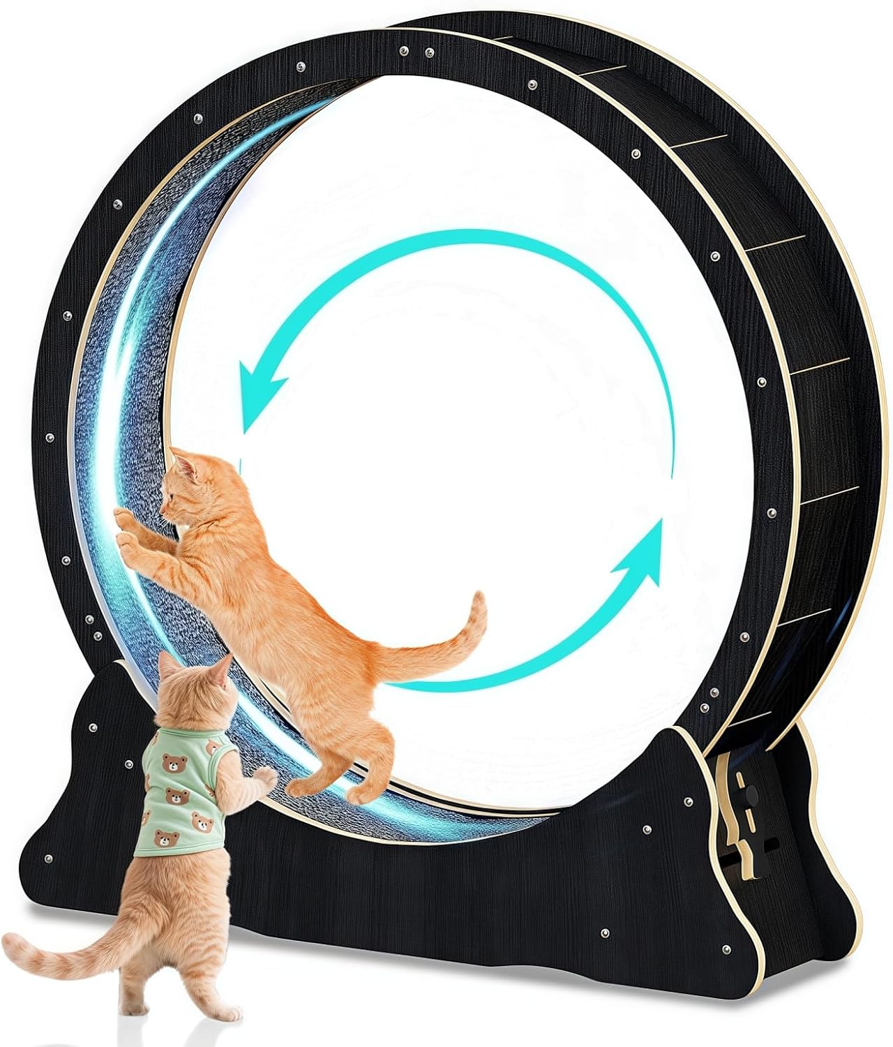 Chat d’intérieur jouant sur grande roue noire