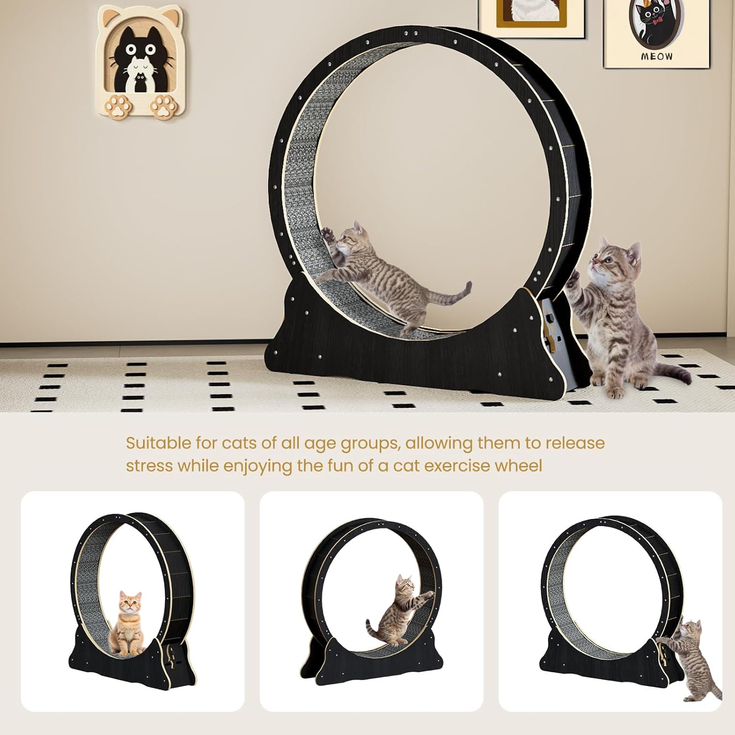 Tapis antidérapant pour roue de fitness féline