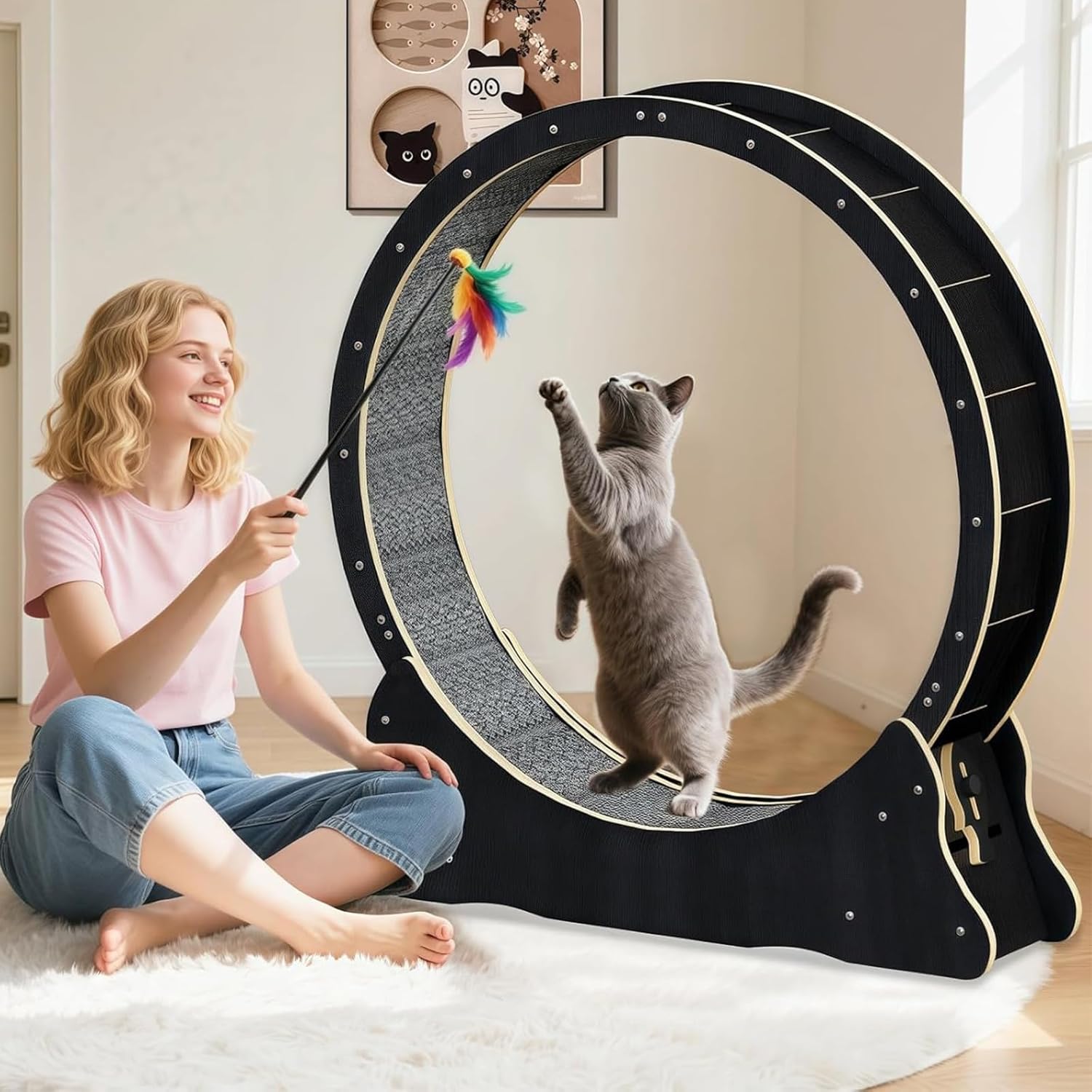 Grande roue pour chat WUDLEP 100 cm noire vue d’ensemble