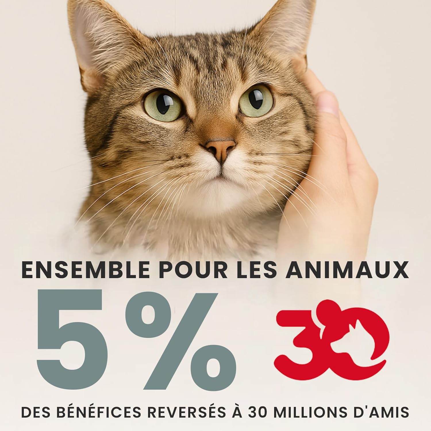 laser-pour-chat-automatique-rotatif-pet-stufff
