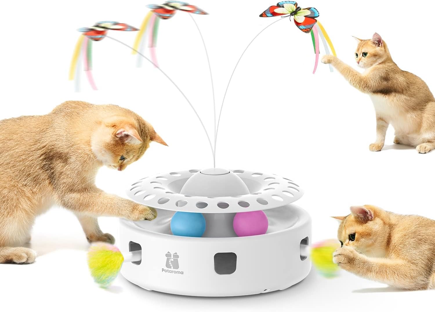 Chaton actif interagissant avec jouet automatique Potaroma