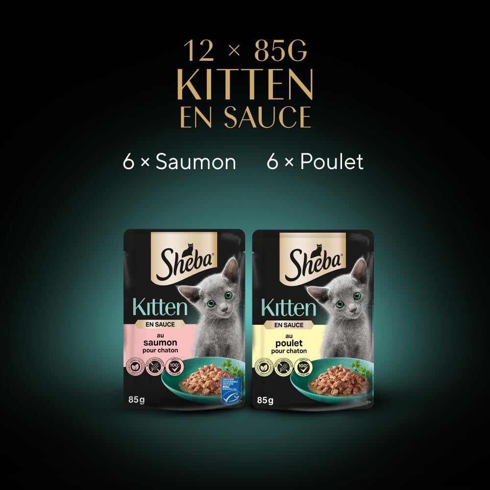 Sélection mixte SHEBA® Kitten 12x85g design doré.