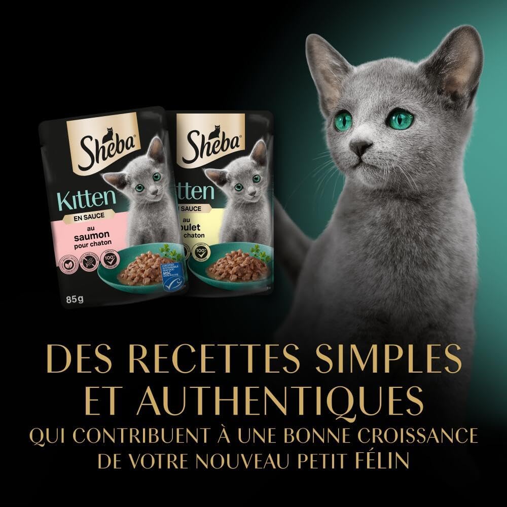 Texture en sauce onctueuse Sheba Kitten image premium.