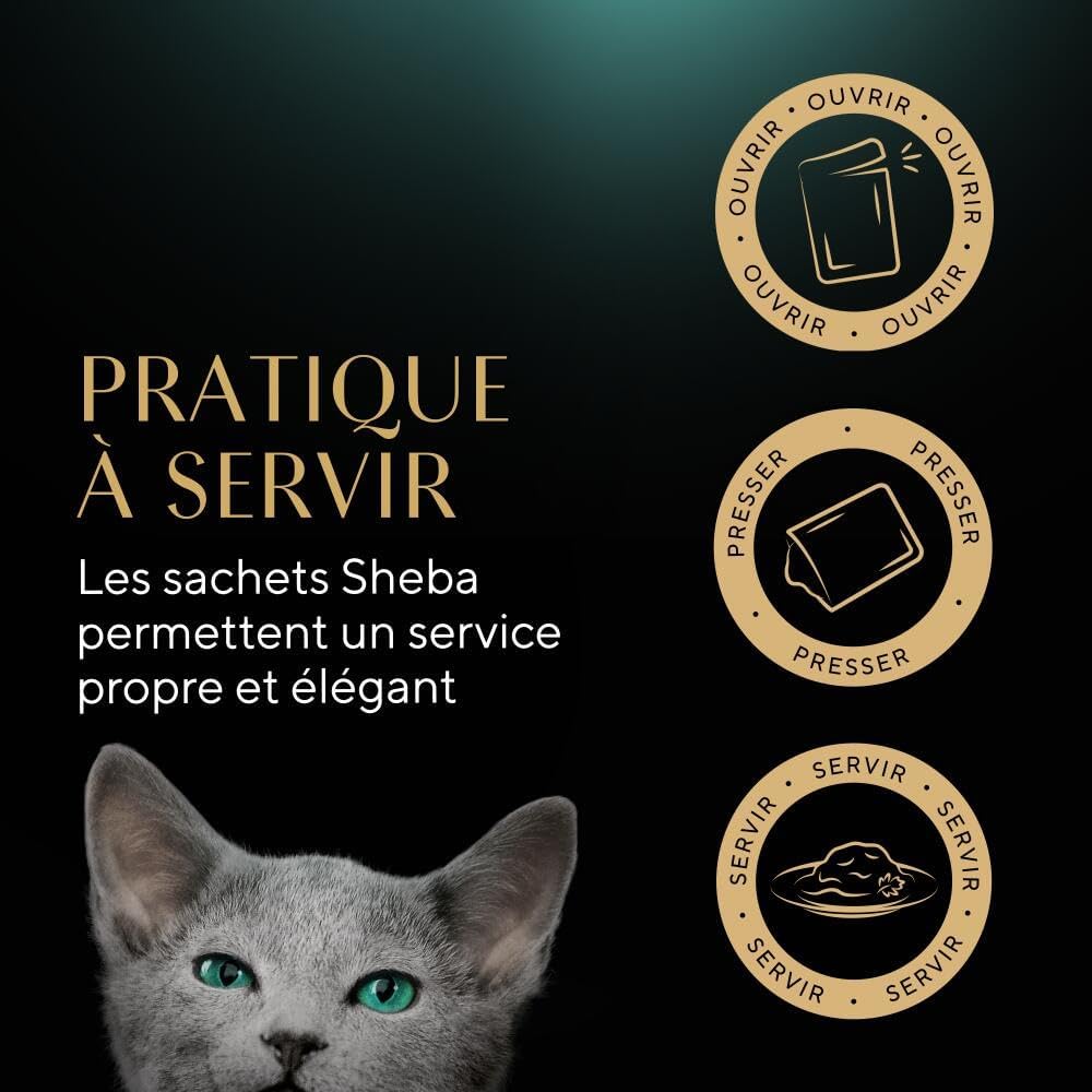 Chaton dégustant repas SHEBA® luxe en sauce.