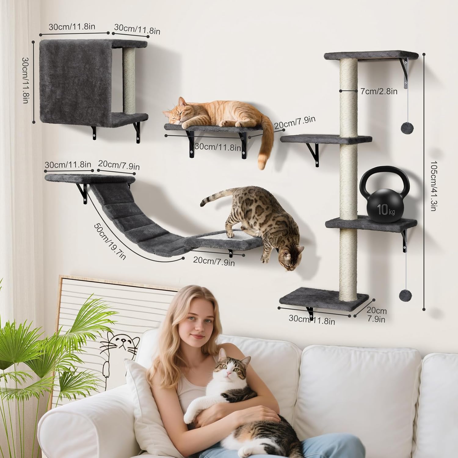 ensemble mur d’escalade félin moderne