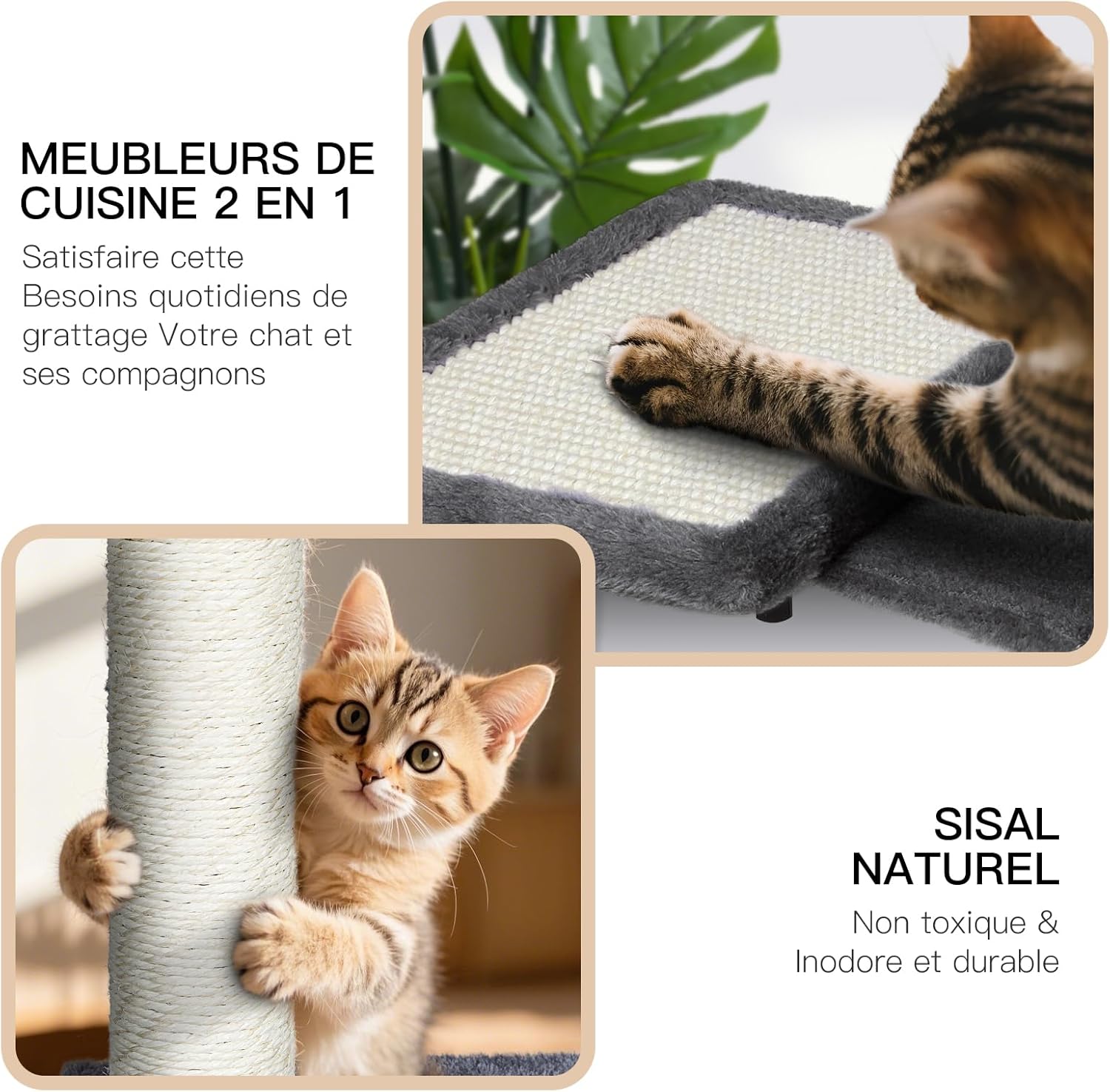 parcours mural design pour chat grand format