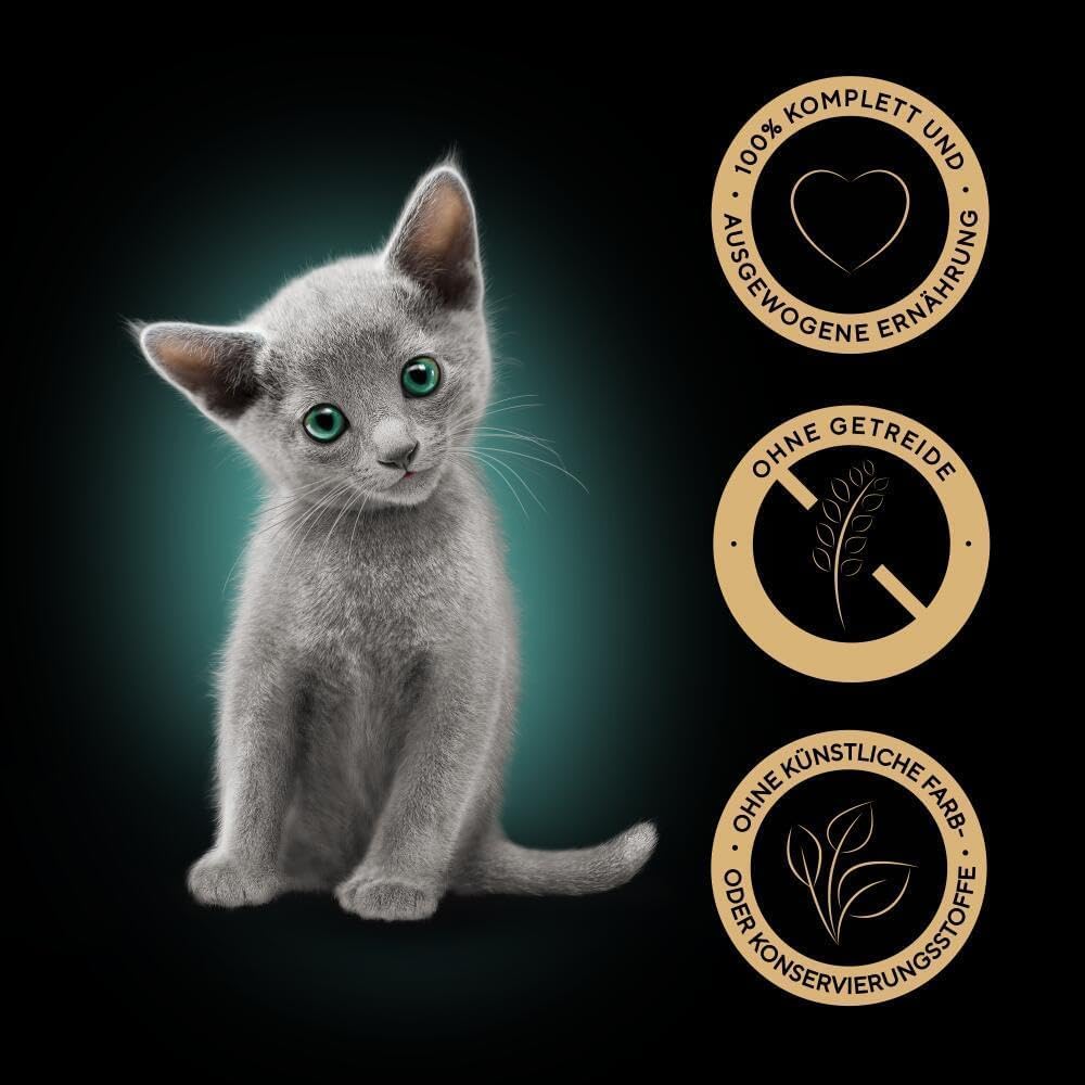 Sheba sans céréales pour croissance chaton élégant.