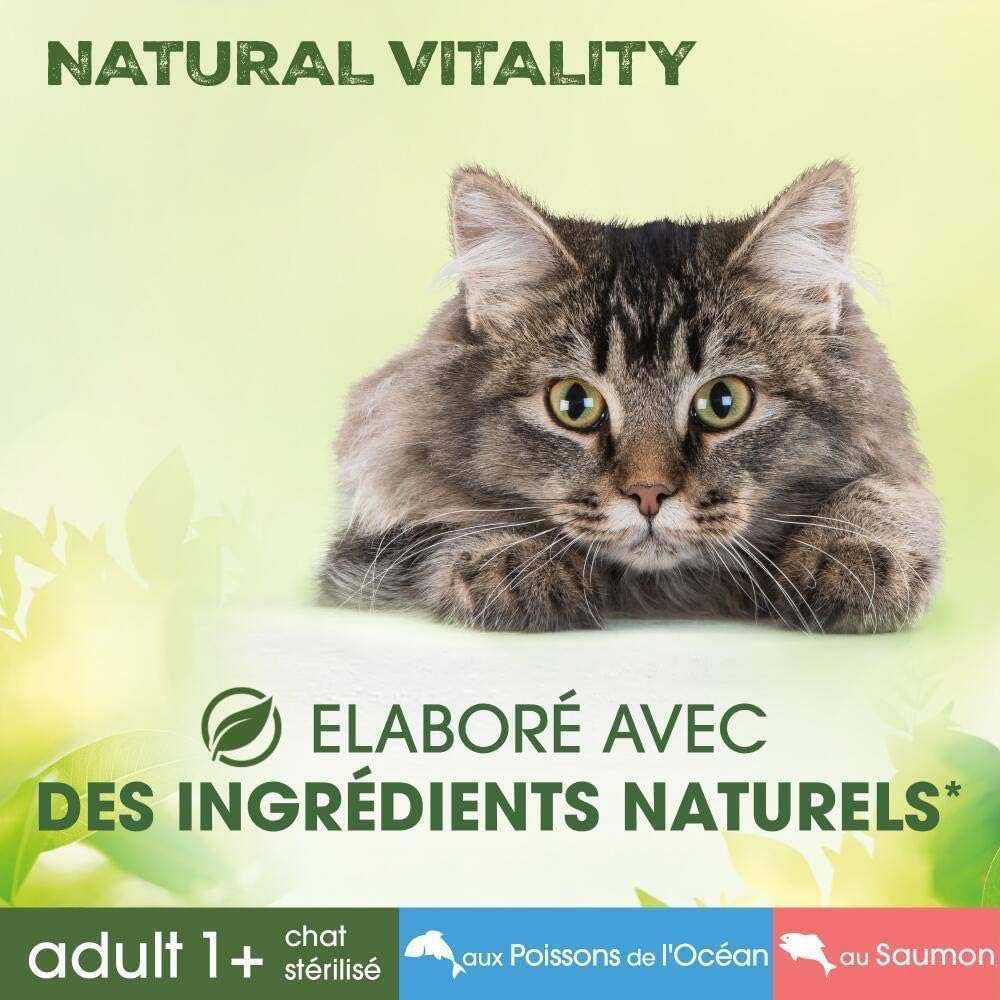 Nourriture premium chat stérilisé : 95% protéines animales sans céréales luxe.
