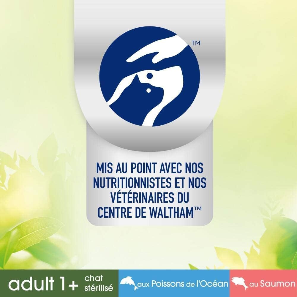sachet Perfect Fit Natural Vitality saumon fraîcheur design raffiné félin.