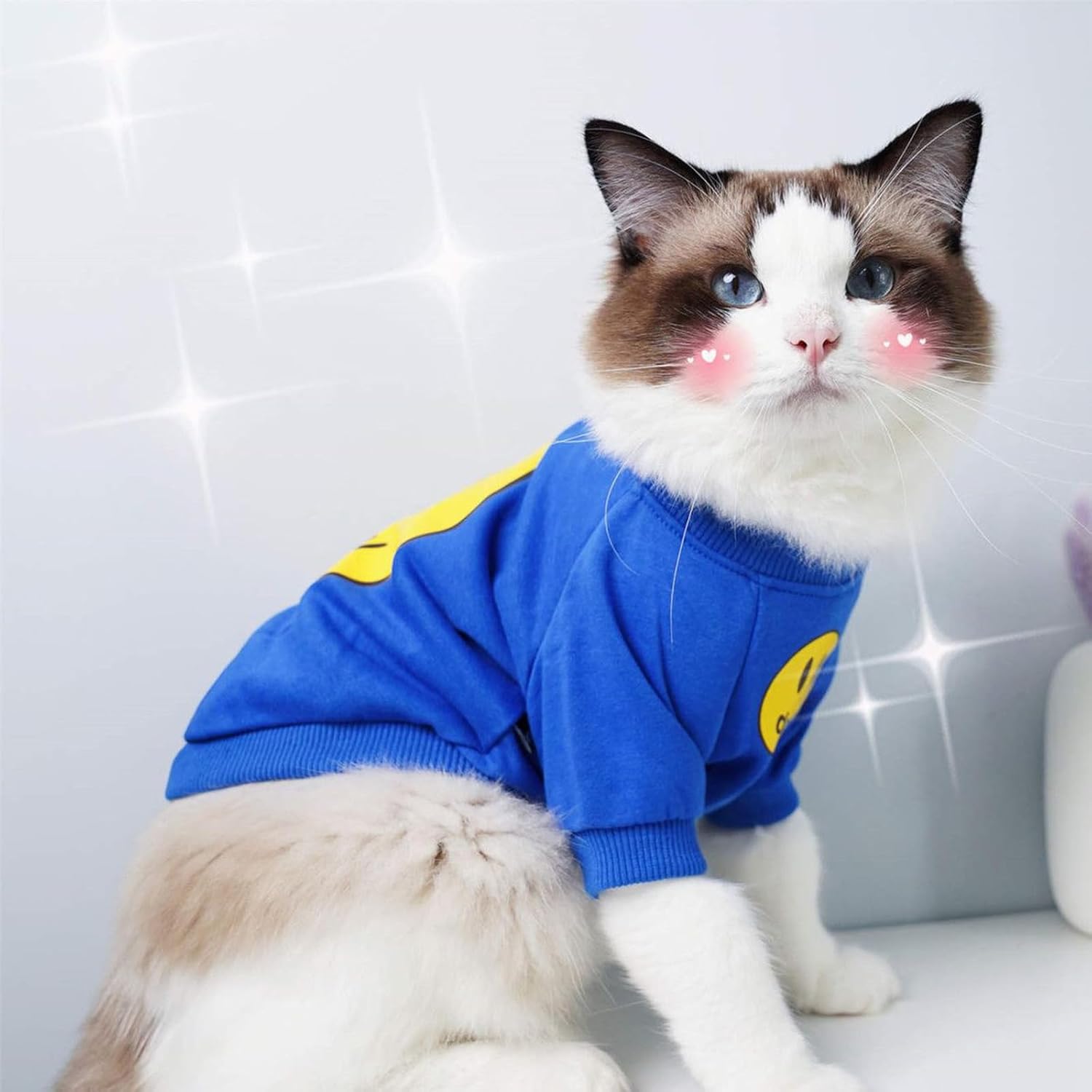 chat en body luxe 2 pièces hiver noir bleu