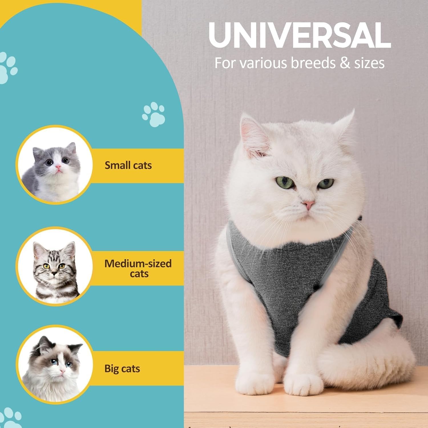chat en body post-opératoire luxe gris recovery
