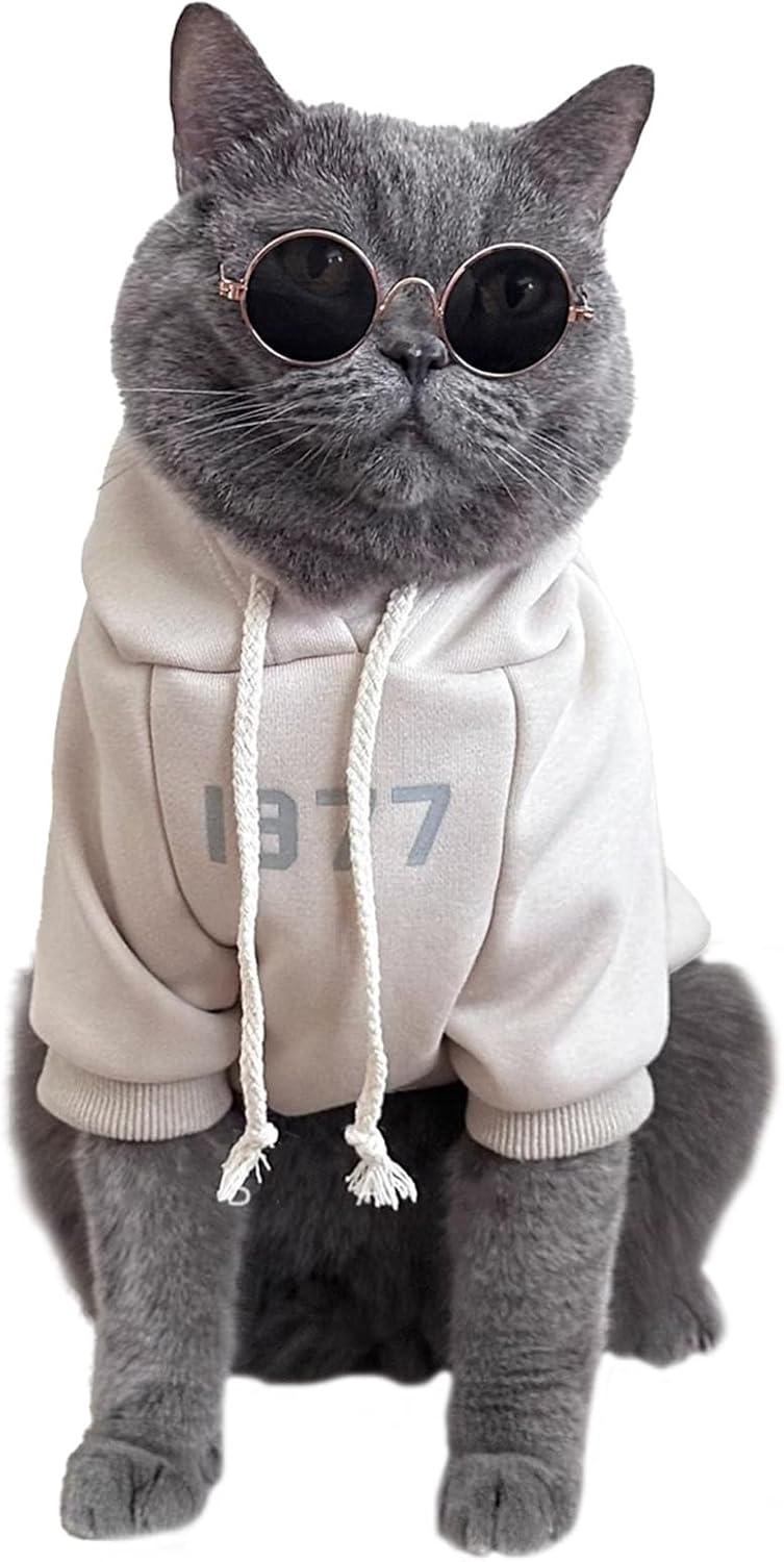 Sweat-shirt chat haut de gamme occasion festive teinte abricot.