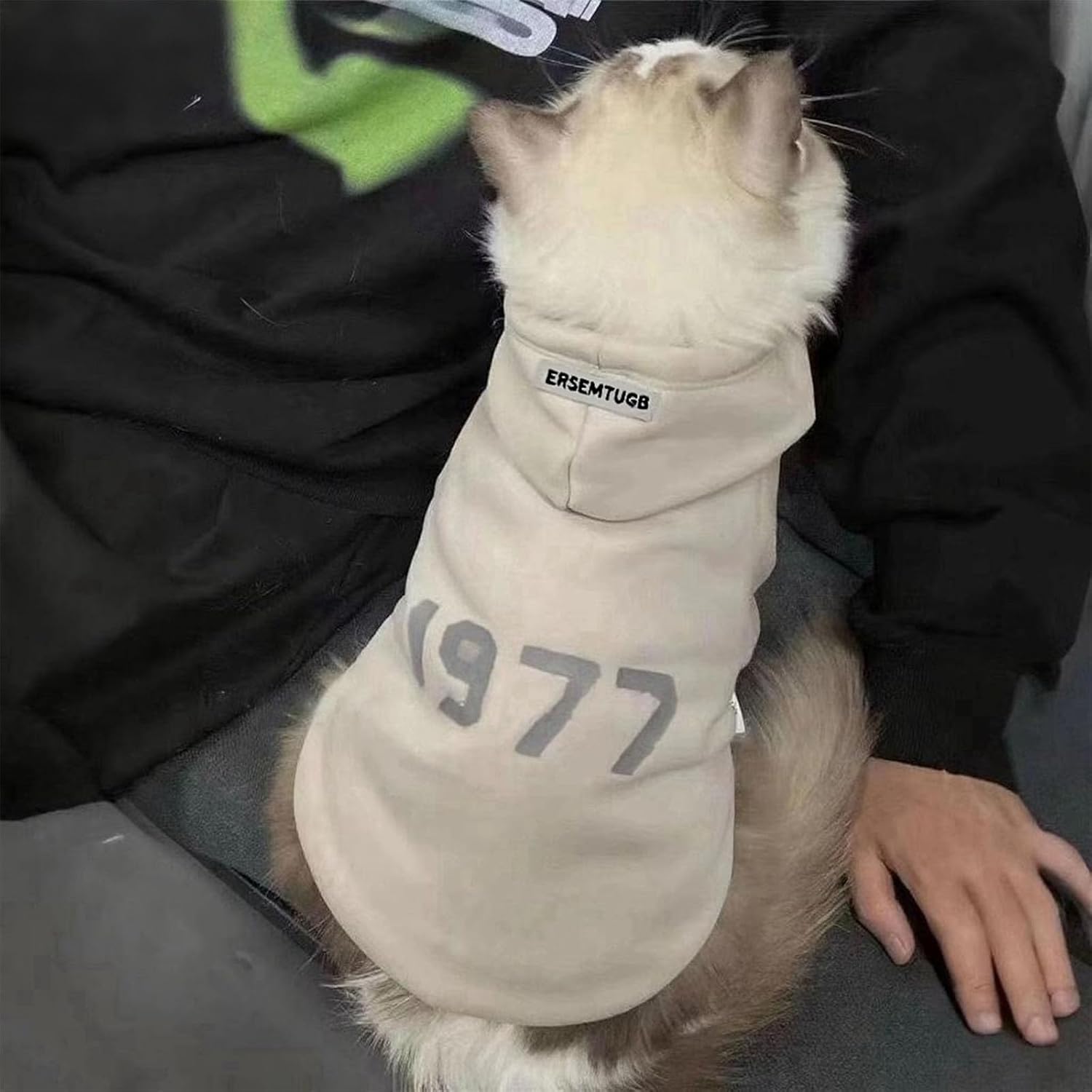 Vêtement chat premium respirant pour automne