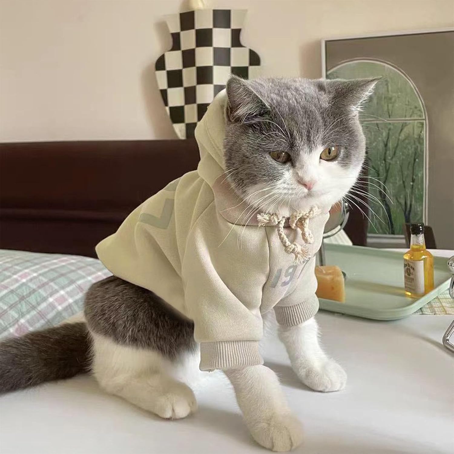 chat sweat-shirt hiver design raffiné capuche polaire.