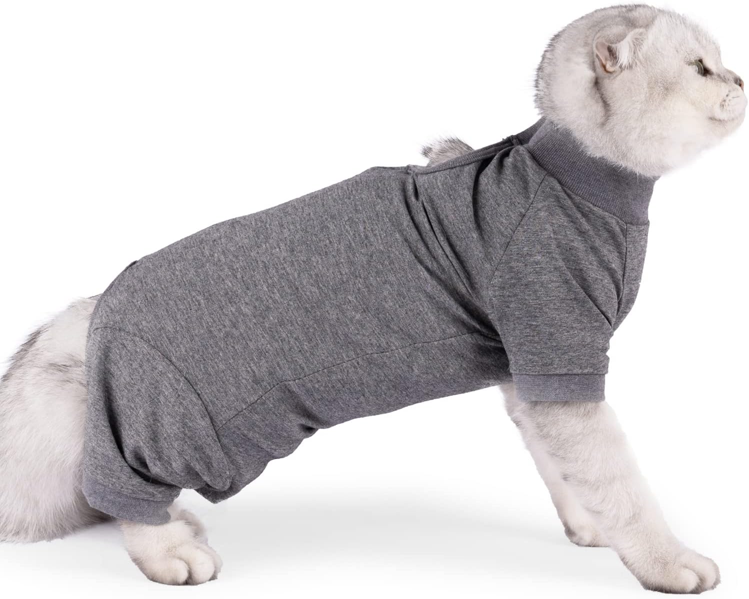 Body anti-perte poils manches longues luxe pour chaton premium.