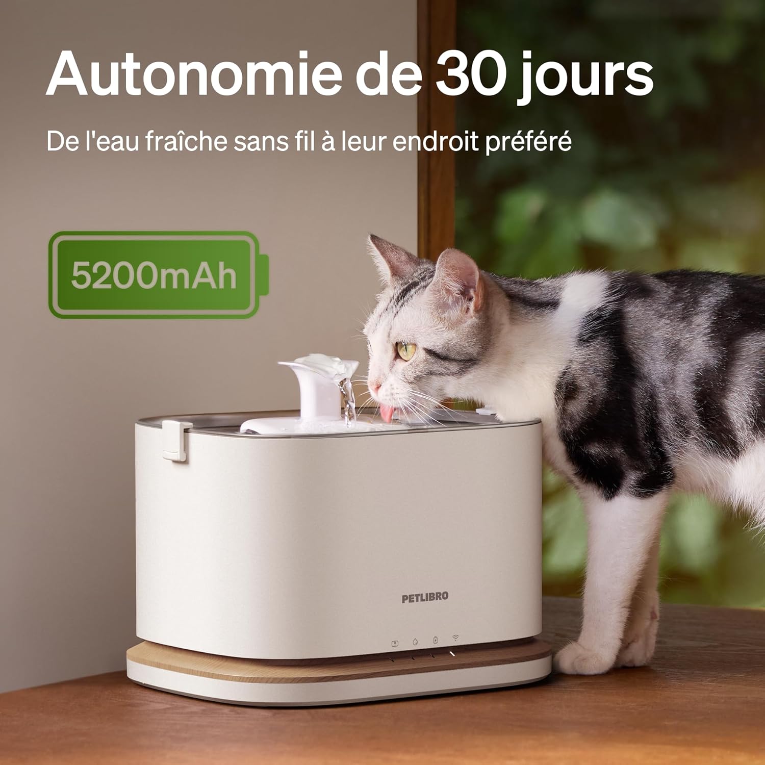 Innovation premium fontaine chat app PETLIBRO suivi consommation.