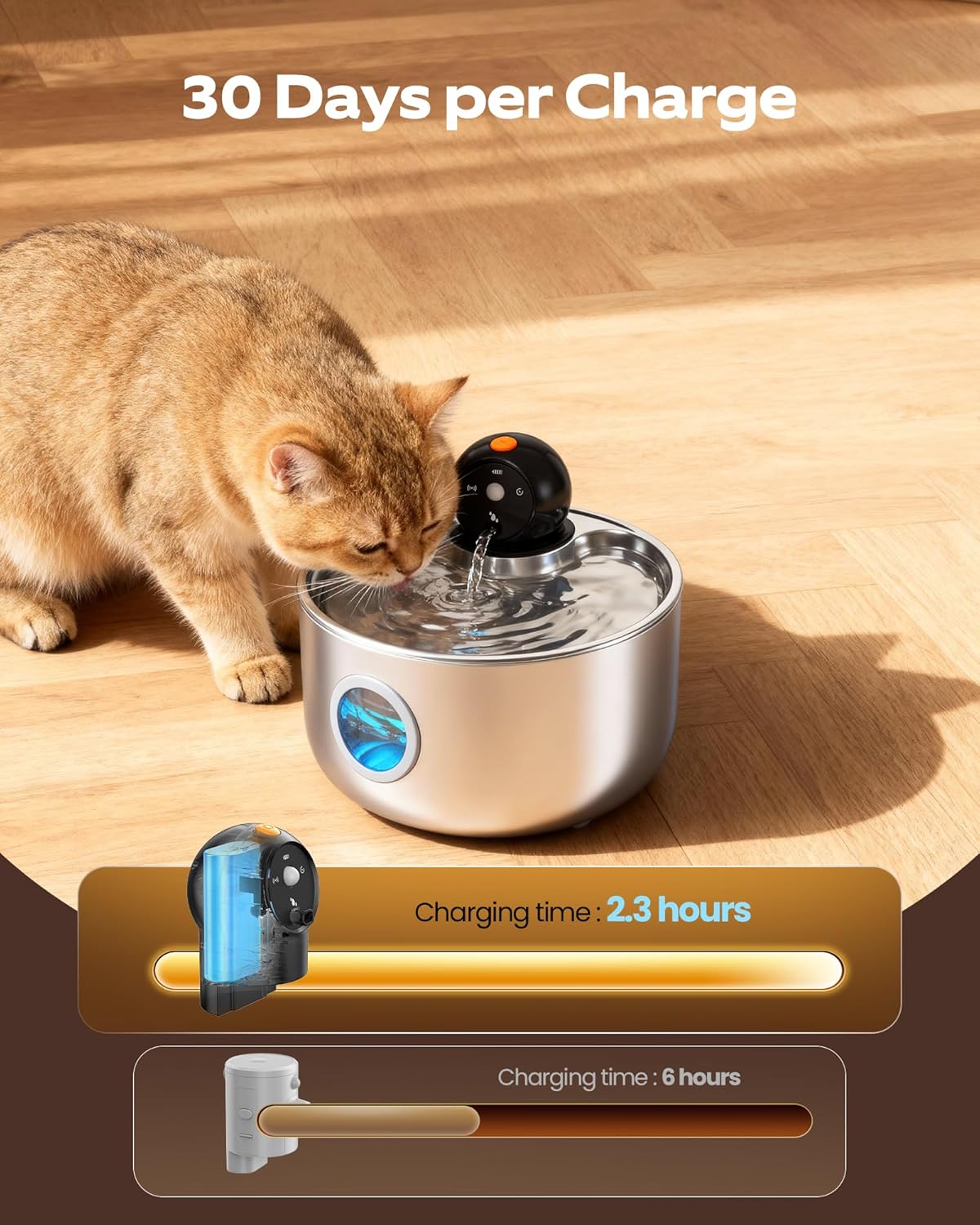 vue detaillee fontaine inox chat filtration avancee accessoire luxe