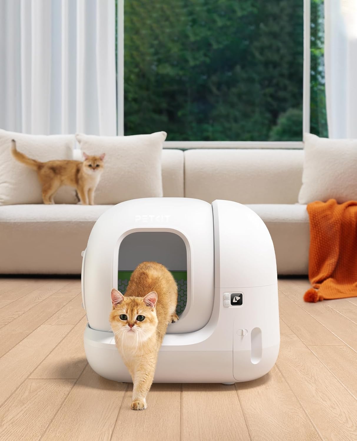 Système xSecure capteurs sécurité litière autonettoyante premium pour chat.