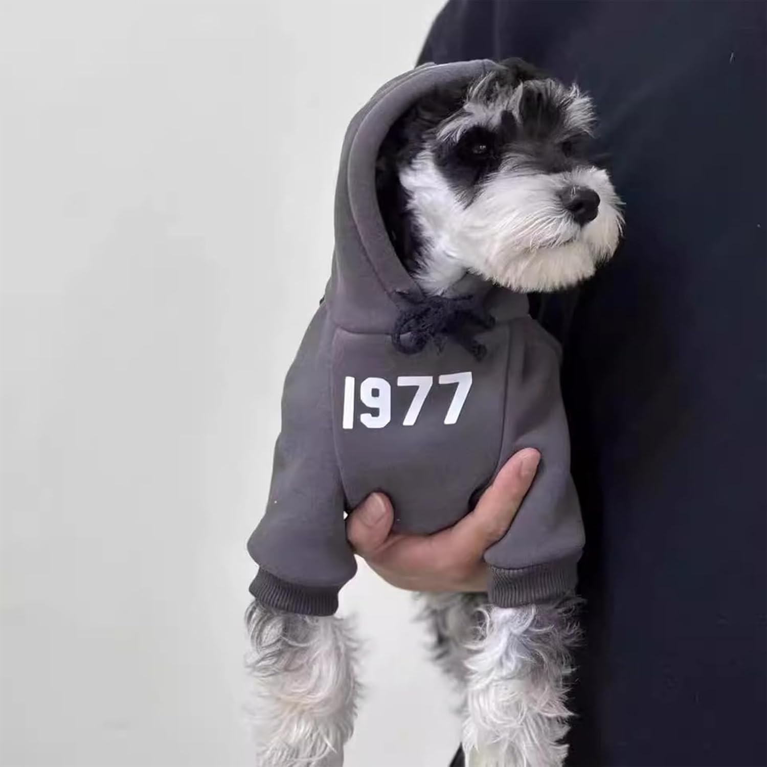 sweat-shirt hiver premium pour chat à capuche sport chic