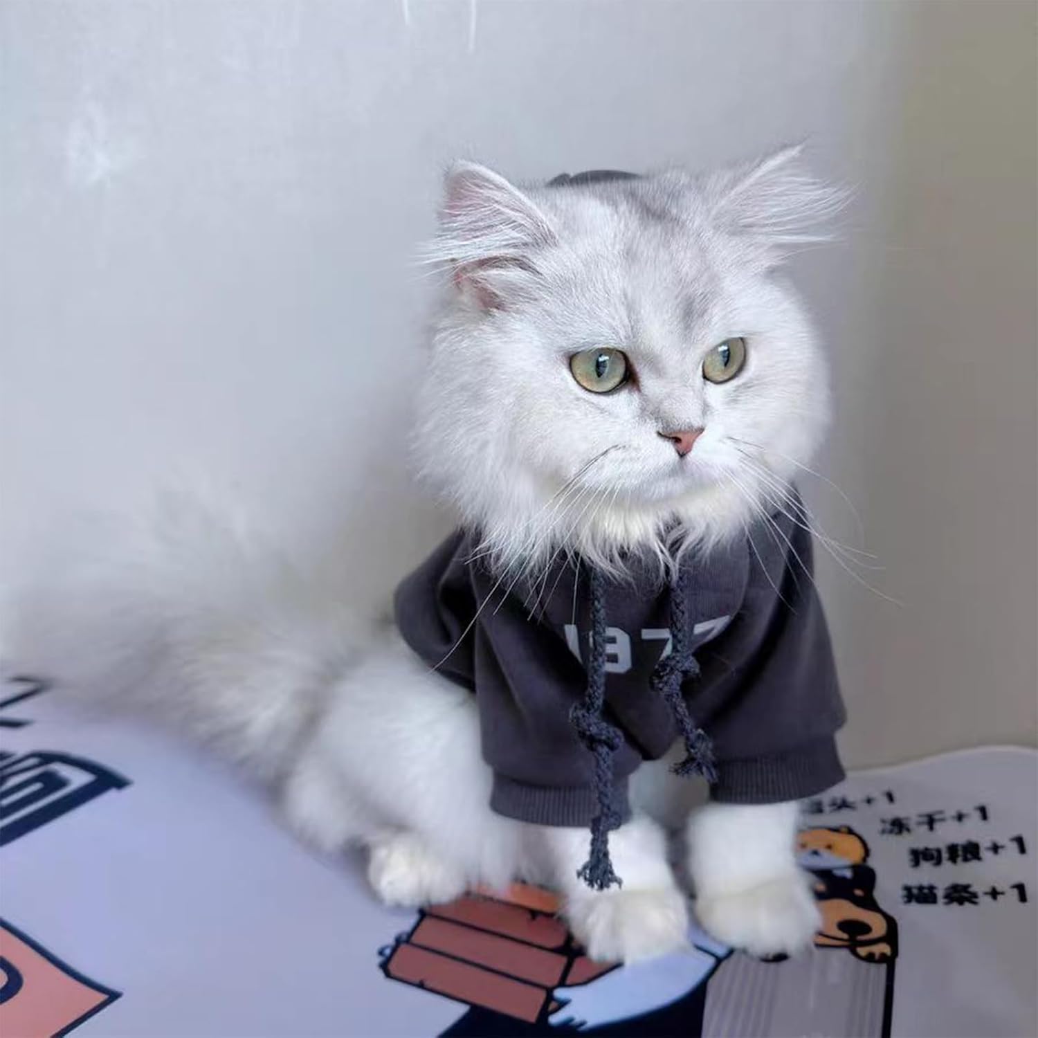 pyjama chaud pour chat en coton avec doublure polaire