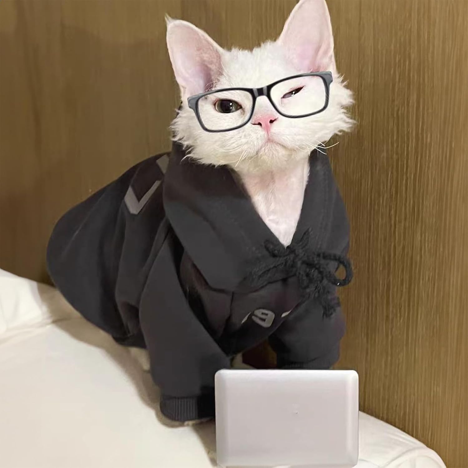 body hiver pour chat gris coton premium capuche