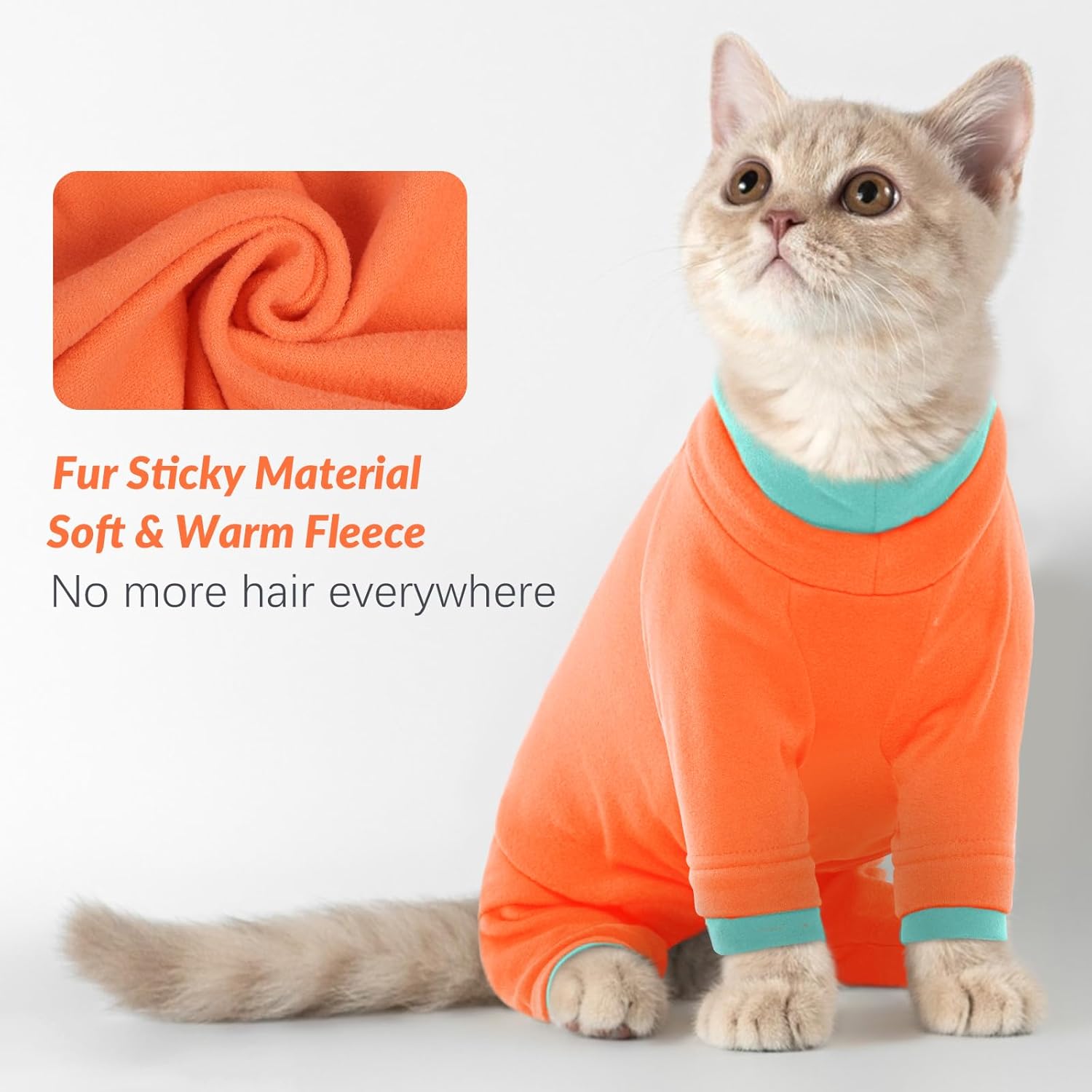 vêtement chaud pour petite race chat design raffiné