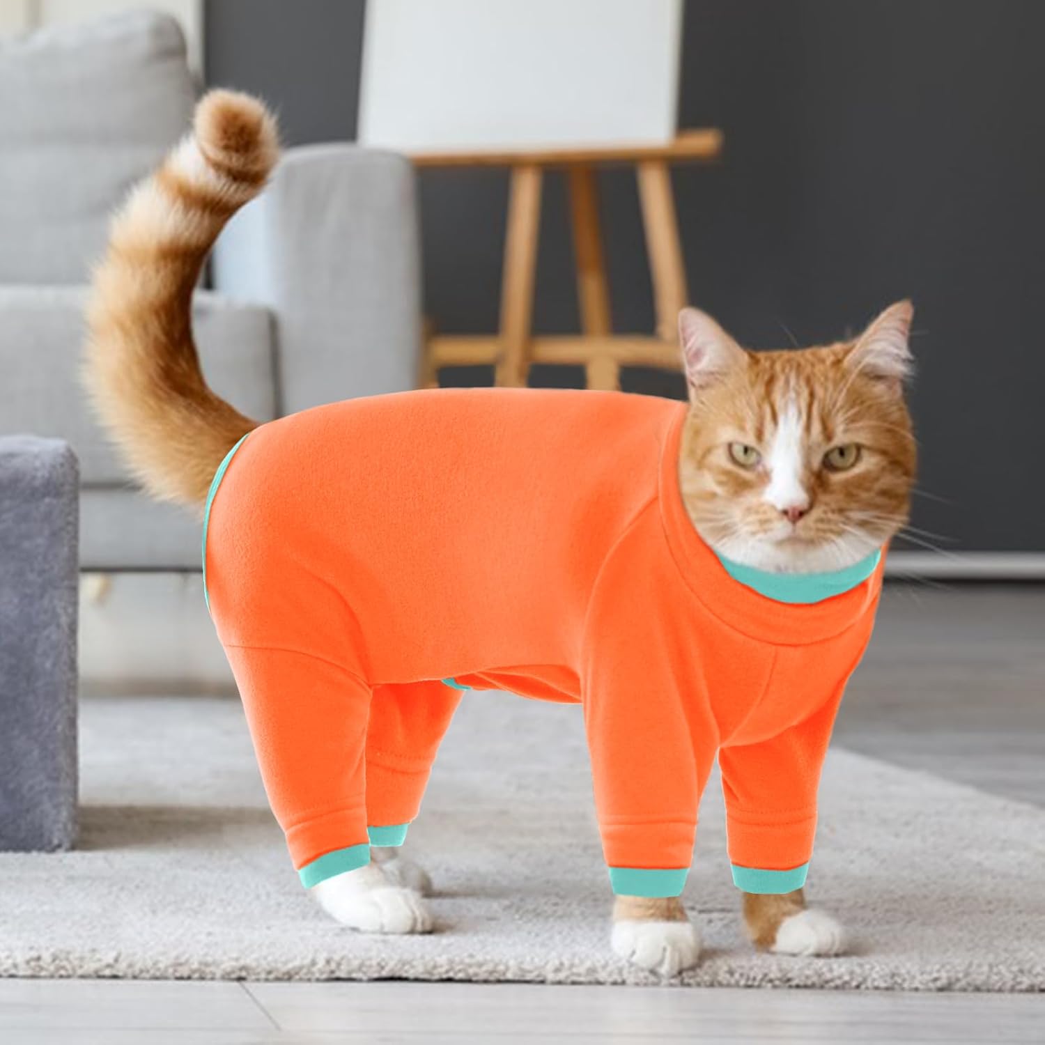 pyjama d’hiver pour chat petit gabarit vêtement chaud