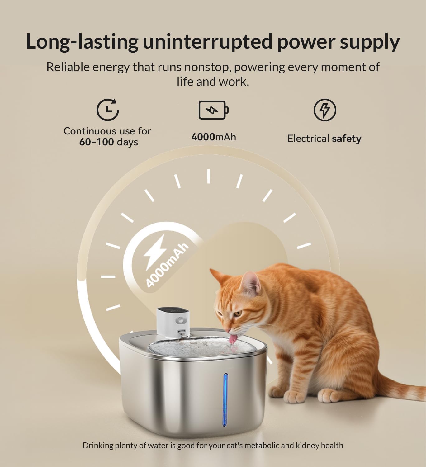 Gamelle eau chat haute capacité 135 onces filtrée multicouche.