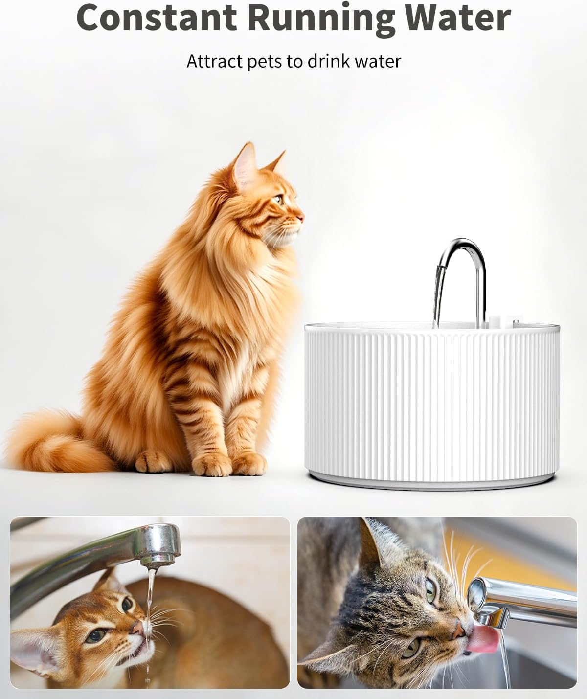 Pompe ultra silencieuse fontaine chat luxe Lawfery installation facile.