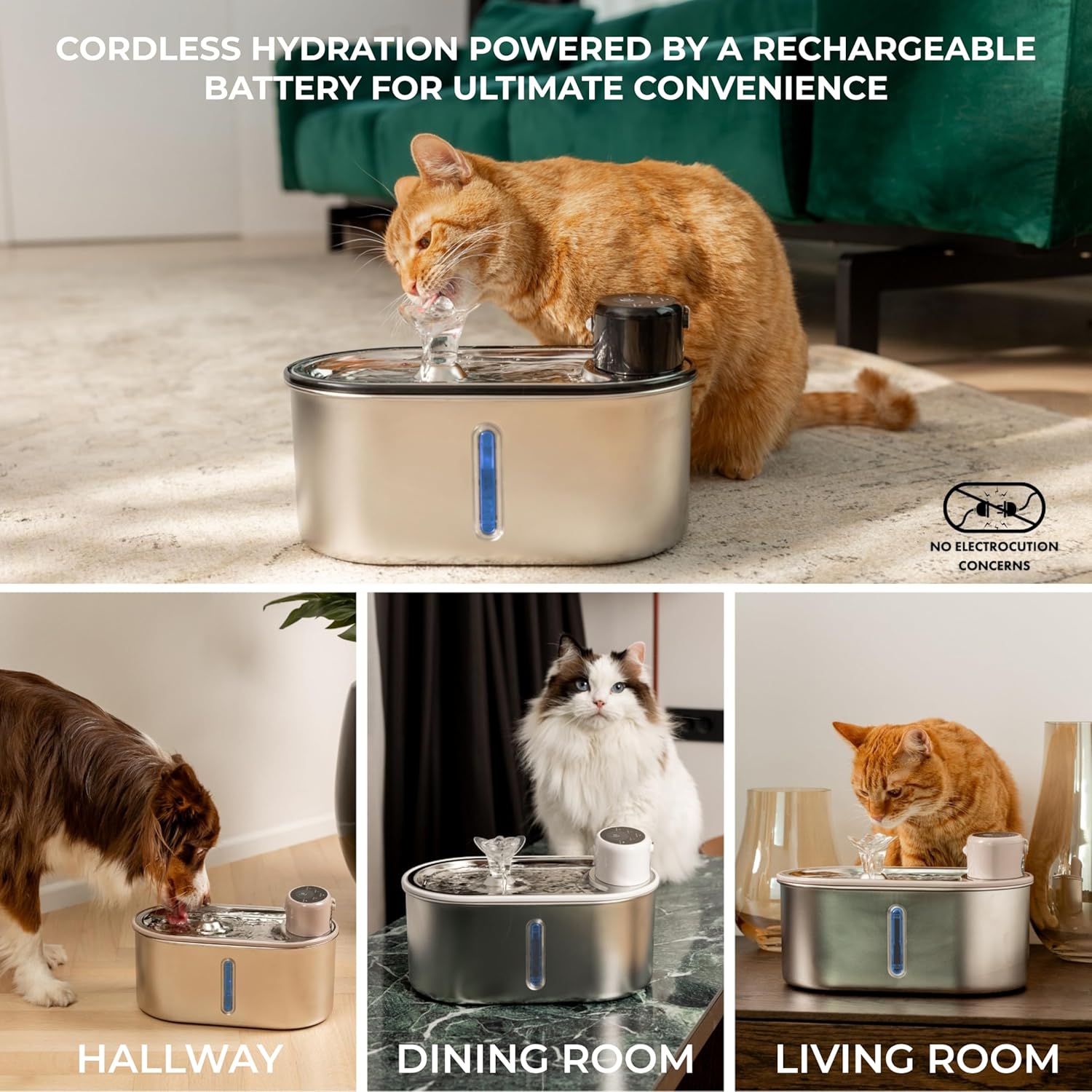 Fontaine eau chat luxe multi-animaux autonomie record design intérieur.