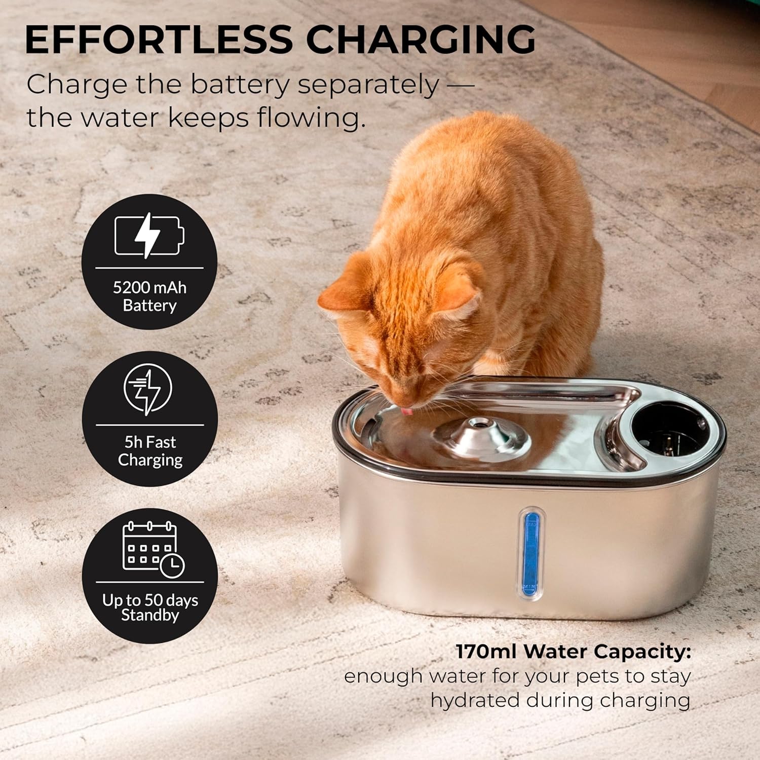 Accessoire luxe chat LIPPUP 3,2L autonomie 50 jours innovation féline.