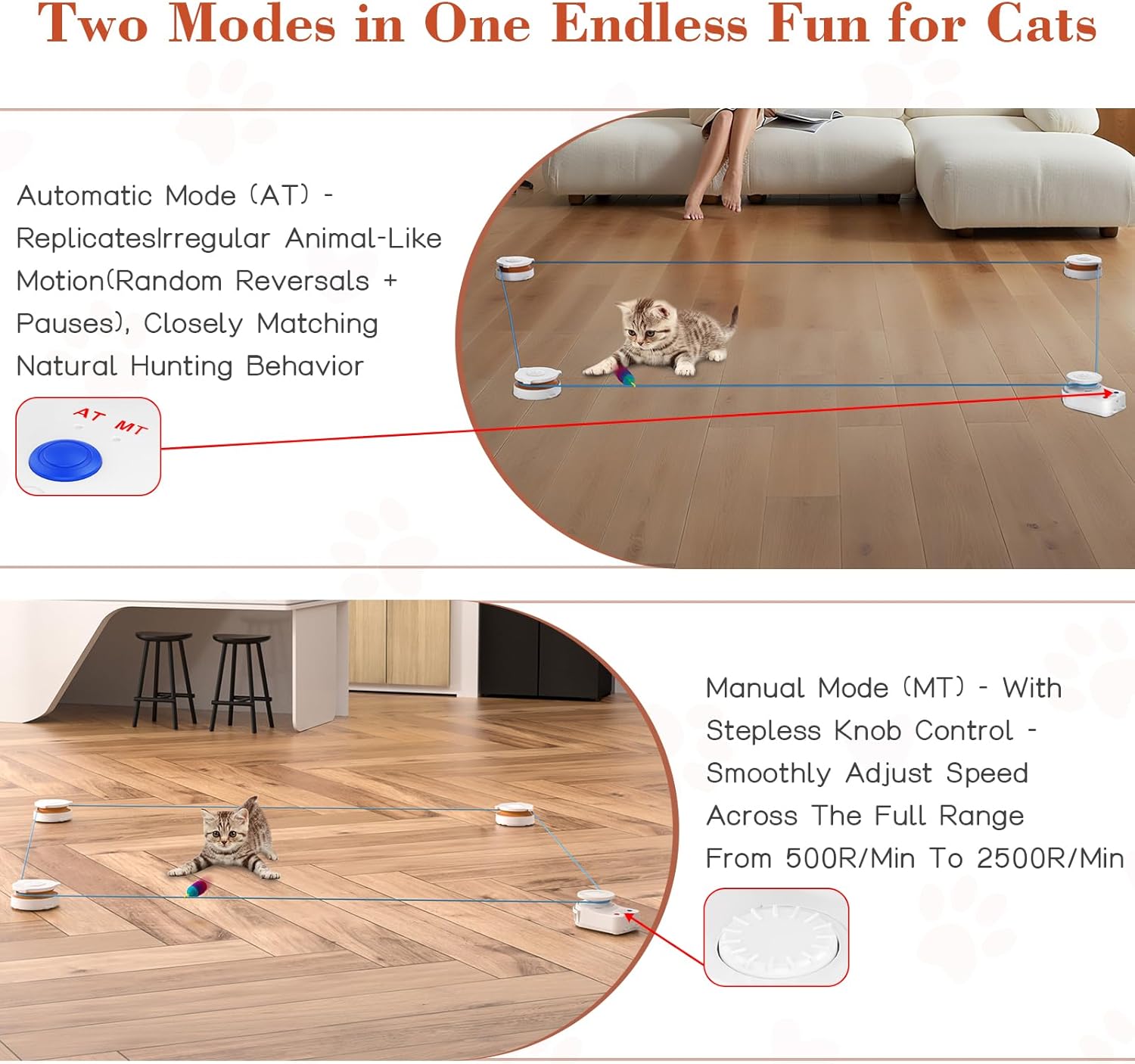 Accessoire chat premium H1K3 avec patins antidérapants stabilité intérieure.