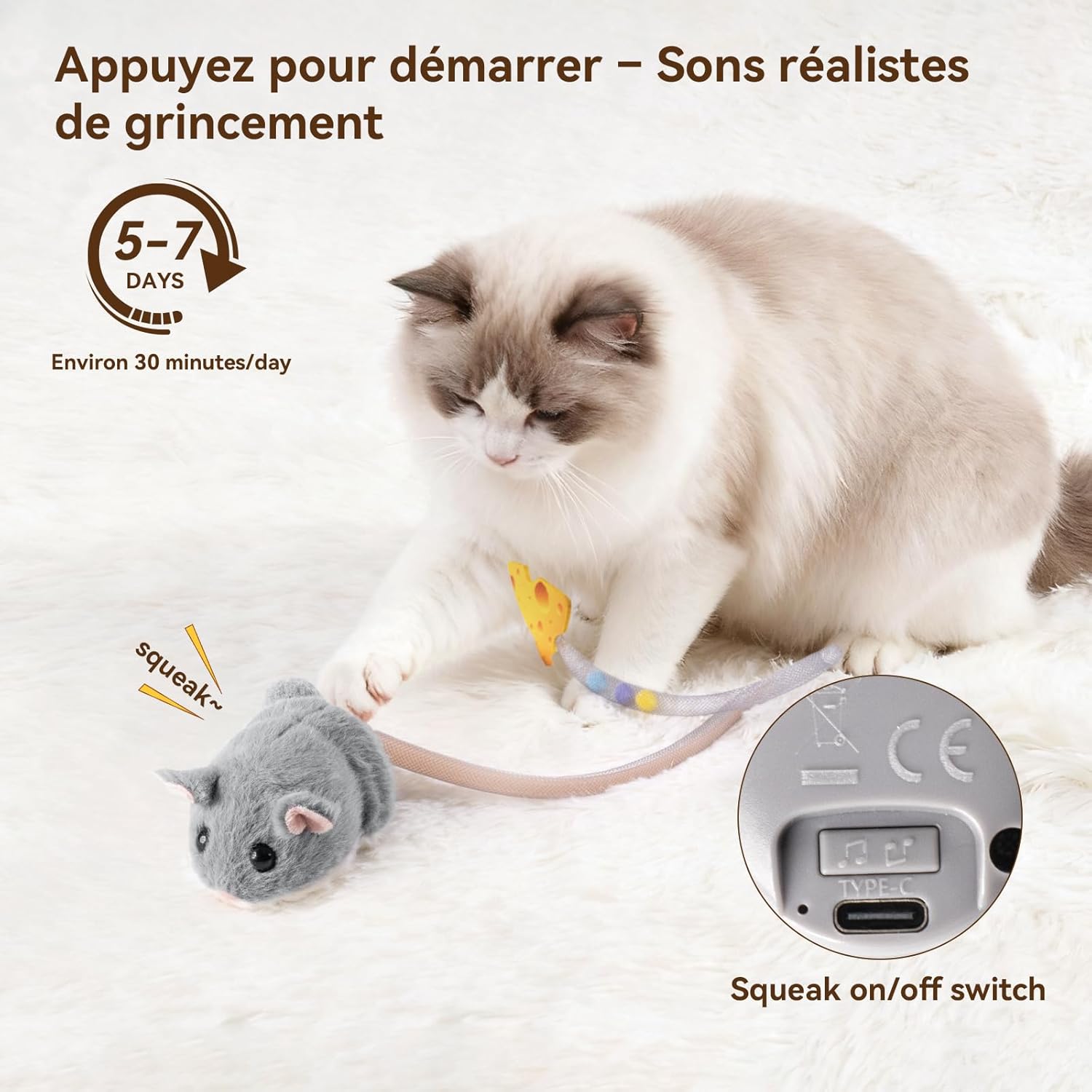 Jouet interactif chat souris peluche douce résistante Morsures griffures.